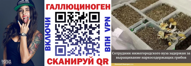 где купить   Мостовской  Галлюциногенные грибы Cubensis 